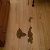 Poner Parquet o Tarima Vivienda (Parcial)