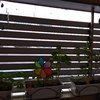 Acristalamiento de la pared de la terraza