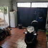 Reforma Vivienda
