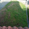 Cesped Artificial