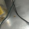 Fumigación