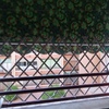 Ventanas aluminio para terraza cubierta