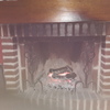Instalación puerta chimenea