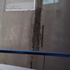 Pintar Exterior Edificio