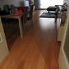 Poner Parquet o Tarima Vivienda (Completa)