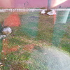 Arreglar jardin