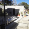 Proyecto y Reforma Vivienda