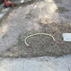 Cesped Artificial