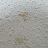 Pintar Interior De Vivienda