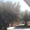 Poda jardin