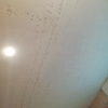 Pintar Interior De Vivienda