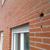 Control de Aves