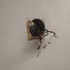 Pequeños Trabajos Instalación Eléctrica