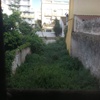 Desbrozar Jardín