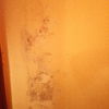 Pintar Interior De Vivienda
