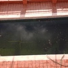 Alicatar Piscina