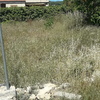 Mantener Jardín