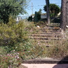 Hacer puesta a punto de jardín