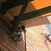 Automatizar toldo