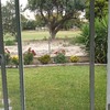 Mosquitera
