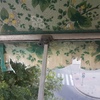 Cambiar Tela Toldo