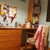 Lacar Muebles