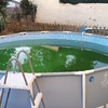 Limpieza puntual de piscina