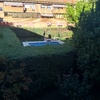 Mantener Jardín