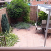 Mantener Jardín