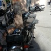 Reforma Local Comercial