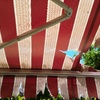 Reparar Toldo