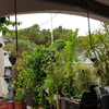 Cortinas Cristal