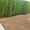 Hacer bordillo en el jardín