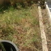 Desbrozar Jardín