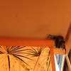 Instalar Toldo Vivienda