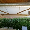 Limpieza 2 toldos exterior