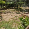 Instalar Piscina Prefabricada Pvc