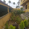 Hacer puesta a punto de jardín