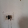 Fumigación o Desinsectación