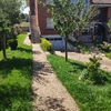 Mantener Jardín