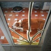 Cortinas Cristal