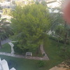 Mantener Jardín