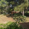 Desbrozar Jardín