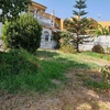 Desbrozar Jardín