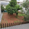 Plantar Cesped