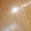 Lijar (Acuchillar) y Barnizar Parquet (Completo)