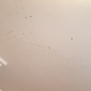 Otros Trabajos De Pintura