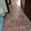 Pulir Suelo Vivienda (Completa)