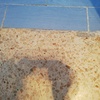 Pulir Suelo Vivienda (Completa)