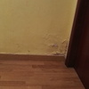 Proyecto y Reforma Baño